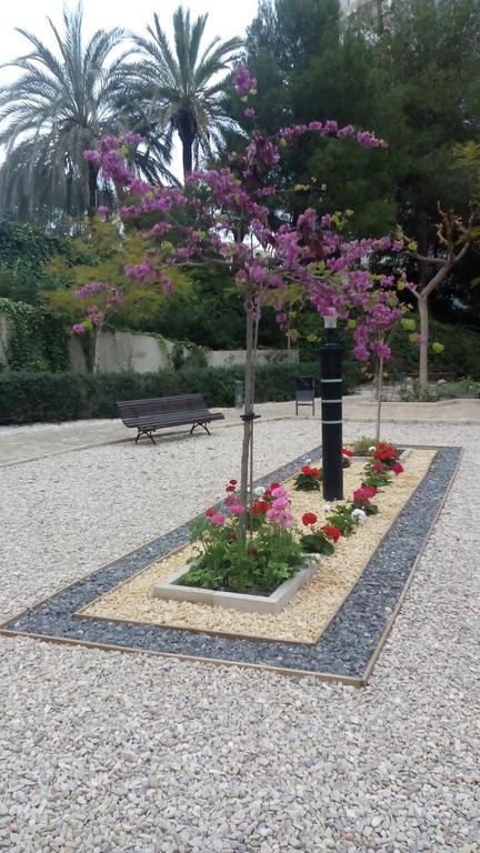 Apartmán Muchosol Benidorm Exteriér fotografie
